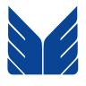 Maruti Suzuki logo